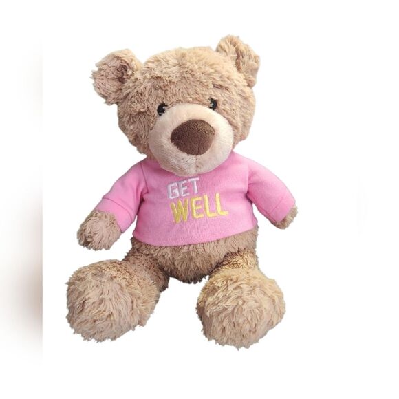 Gund Other - GUND "Get Well" Teddy Bear In Pink/Rose
